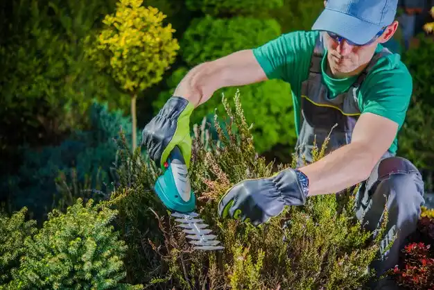 landscaping services Cortland West